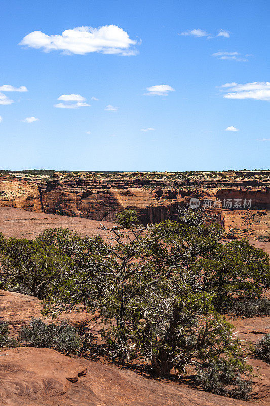 亚利桑那州的Canyon de Chelly。